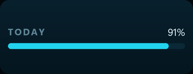 The Day progress widget